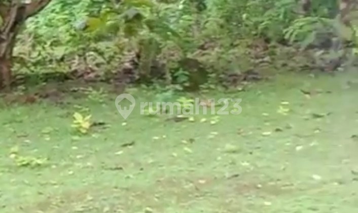 Land for Lease in Bingin Beach Uluwatu 3