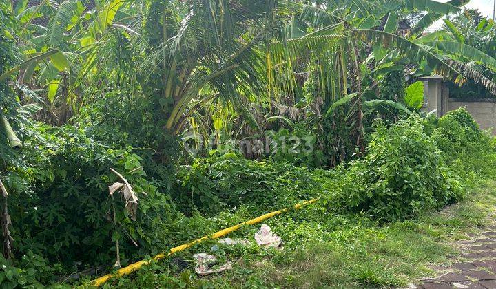 3 ARE LAND FOR LEASE IN PADONAN CANGGU 5