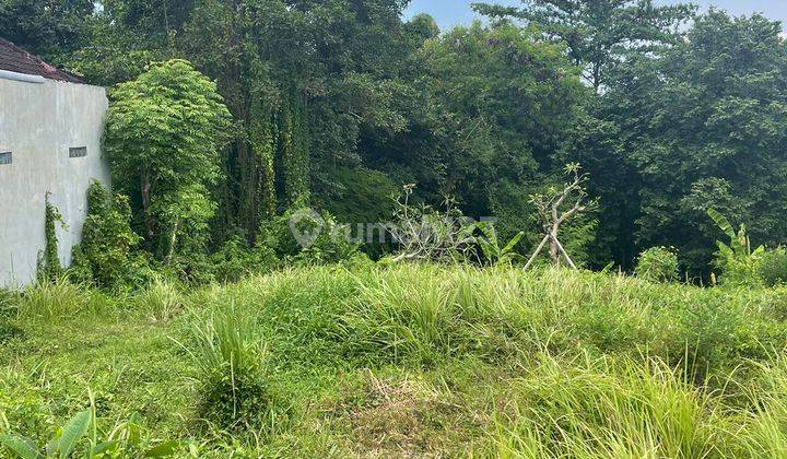 Land For Lease in Canggu Padonan 1