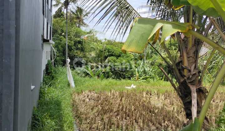Land For Lease In Canggu 2