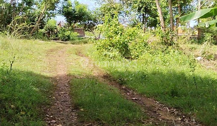 Land for Rent in uluway Bali 3