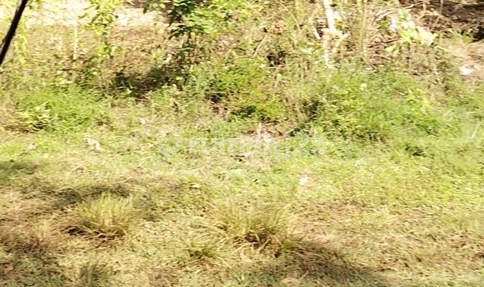 Land for Rent in uluway Bali 5