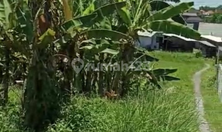 Land for lease in Canggu padonan 1
