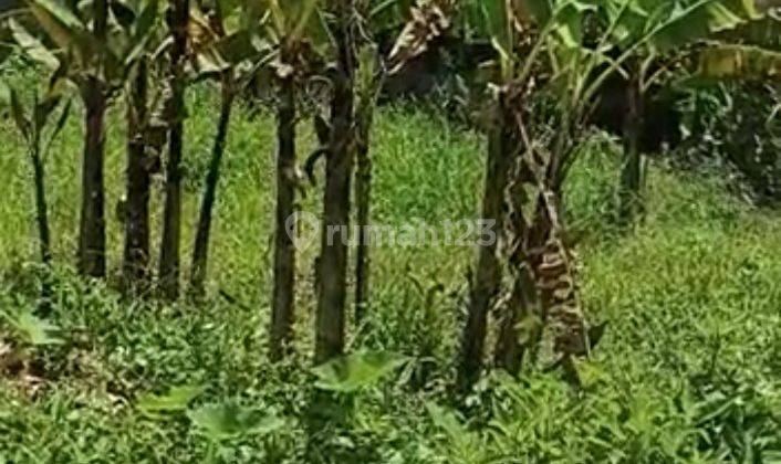 Land for lease in Canggu padonan 2
