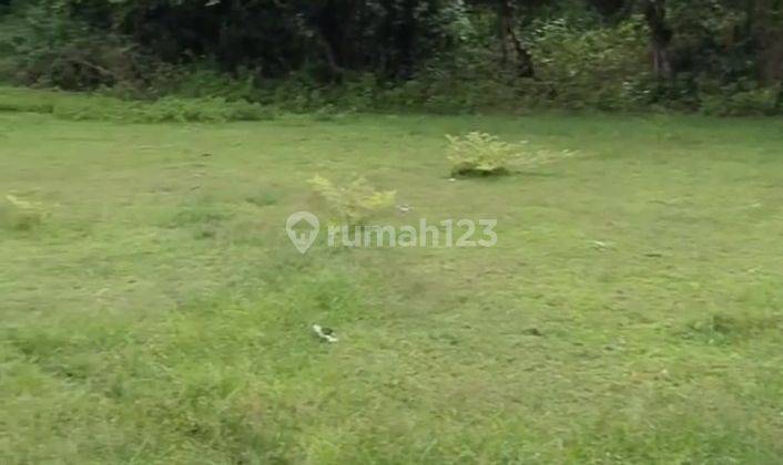 Cliff front land for Rent in Uluwatu bali 3