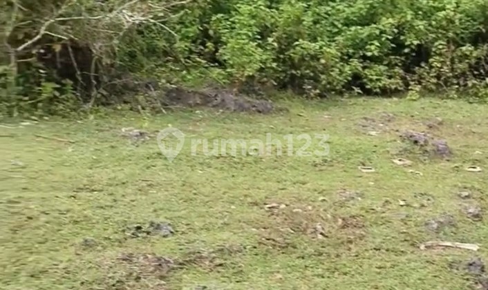 Cliff front land for Rent in Uluwatu bali 5