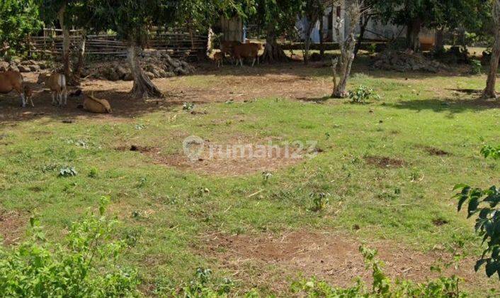 Land for Lease close to balangan beach uluwatu 4