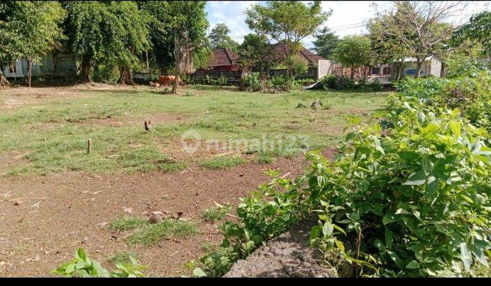 Land for Lease close to balangan beach uluwatu 3