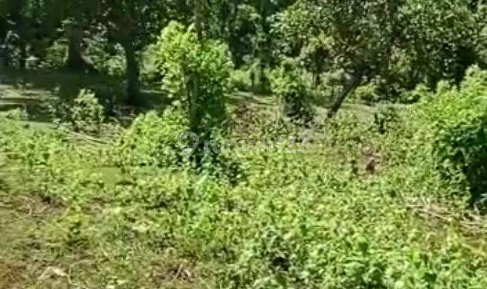 Land for Lease neat balangan & Dreamland beach ungasan uluwatu 1