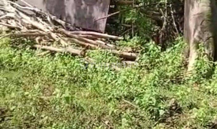 Land for Lease neat balangan & Dreamland beach ungasan uluwatu 3