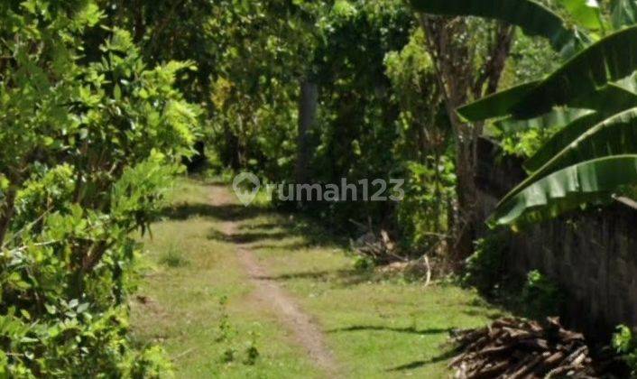 Land for Lease neat balangan & Dreamland beach ungasan uluwatu 7