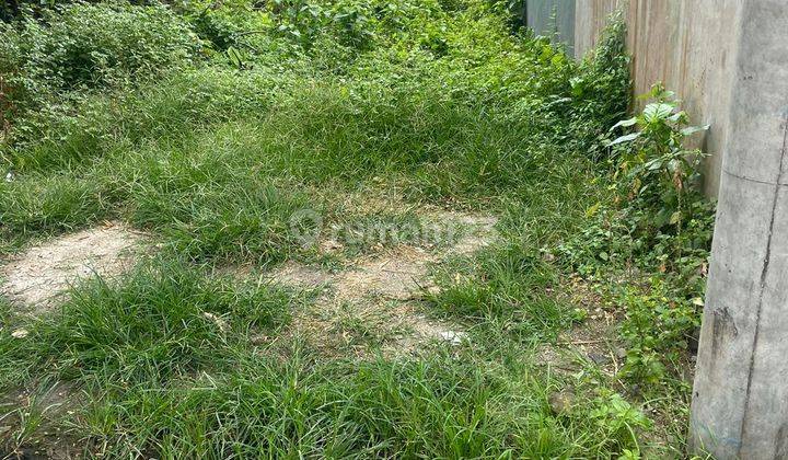 2 ARE LAND FOR LEASE IN CANGGU PADONAN 2