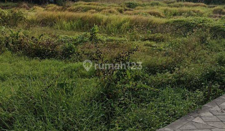 LAND FOR LEASE IN CANGGU PADONAN 1