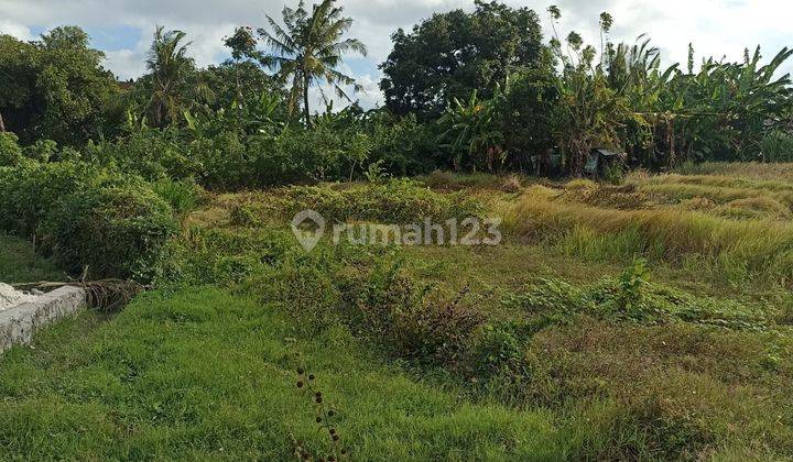 LAND FOR LEASE IN CANGGU PADONAN 2