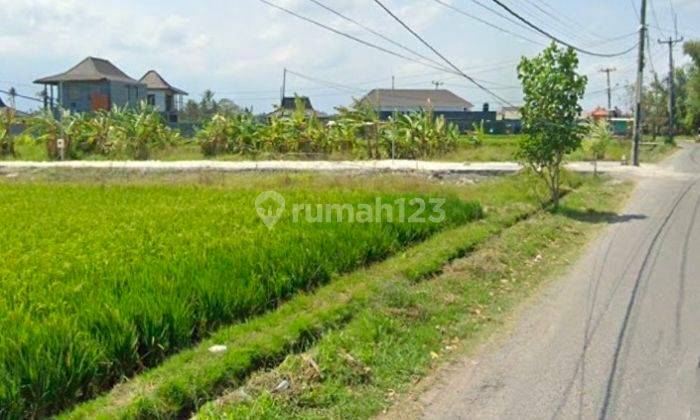 Land For Rent In Pererenan Canggu 2