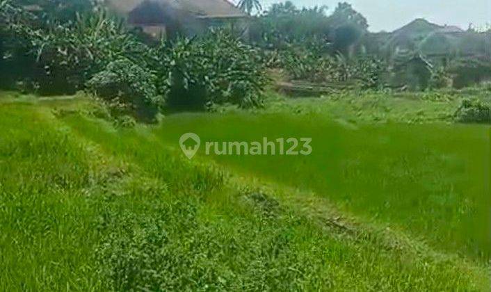 Land for Lease in Canggu Padonan 2