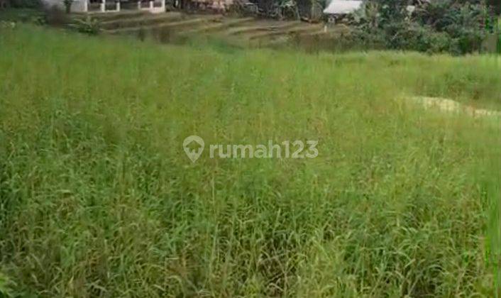 Land For Lease In Pererenan Tumbak Bayuh 1