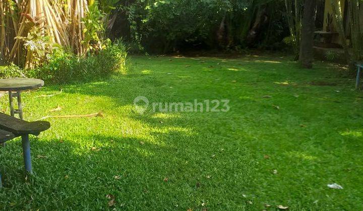 Land For Lease In Canggu Berawa 2