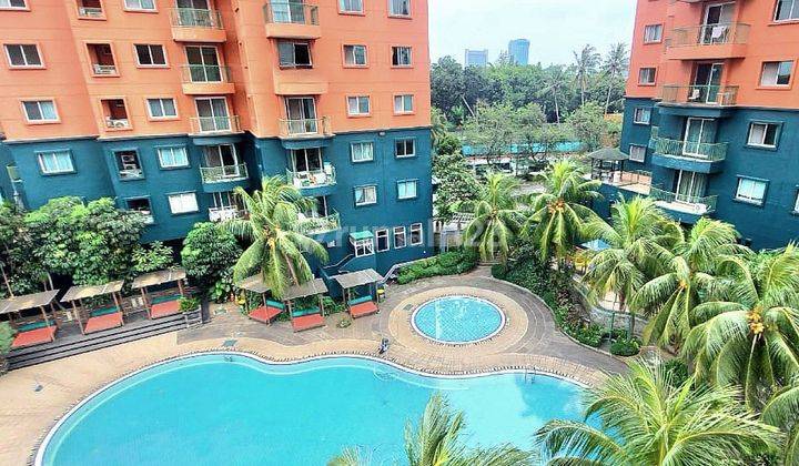 Apartement Greenview Dijual Cepat, Murah Dan Siap Huni 1