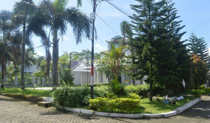 rumah 1lantai di pusat kota 1