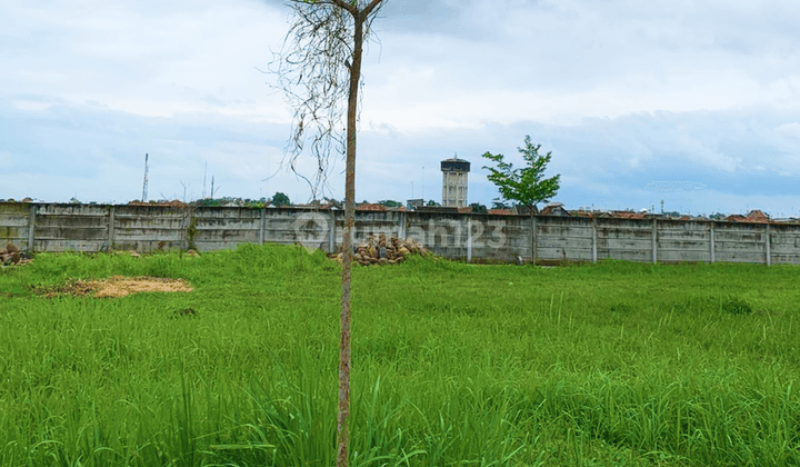 Tanah Kavling SHM di Pekalongan Dekat Dengan Pusat Kota 8