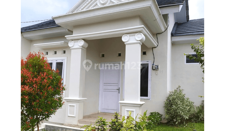 Rumah 1 Lantai di Jl. Raya Gejlig Kajen Suasana Asri 5