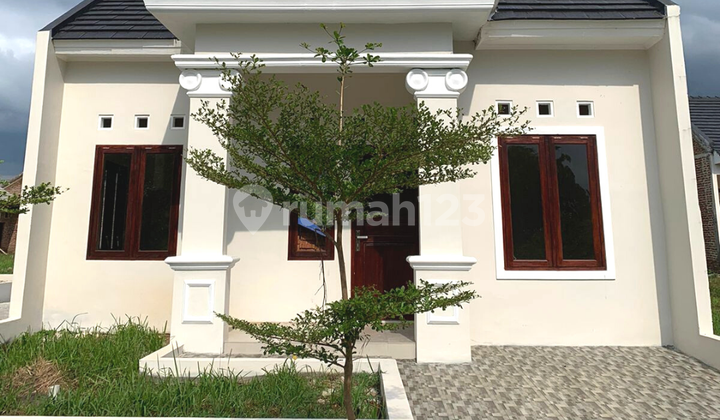 Rumah 1 Lantai di Jl. Raya Gejlig Kajen Suasana Asri 7