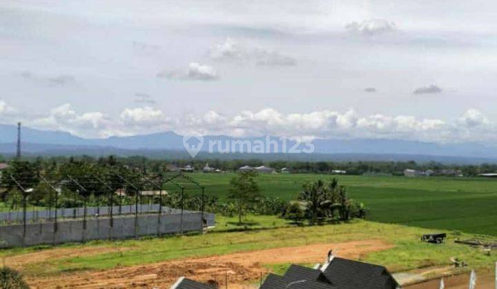 Rumah desain kekinian rumah wort it rumah bagus  3