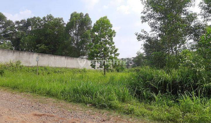 P Erl Disewakan Kavling Tanah Dekat Kemang Jakarta Selatan 1