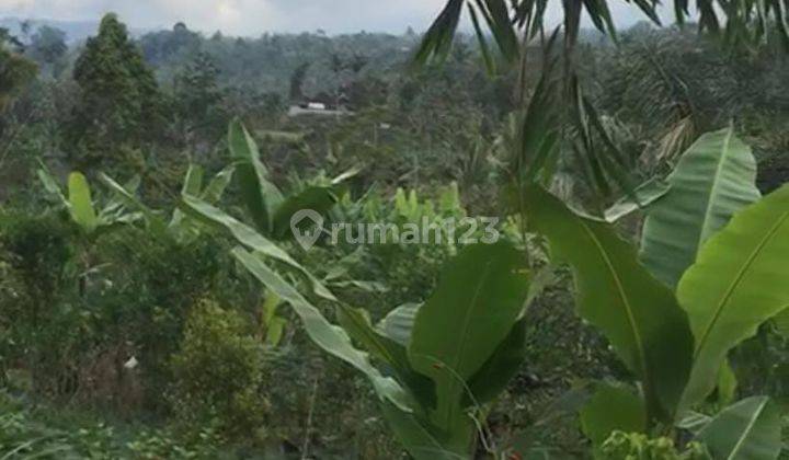 Dijual Cepat 1 Unit Rumah Dalam Komplek Area Bongan Tabanan Bali 1