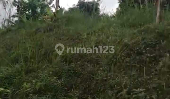 Dijual Cepat 1 Unit Rumah Dalam Komplek Area Bongan Tabanan Bali 3