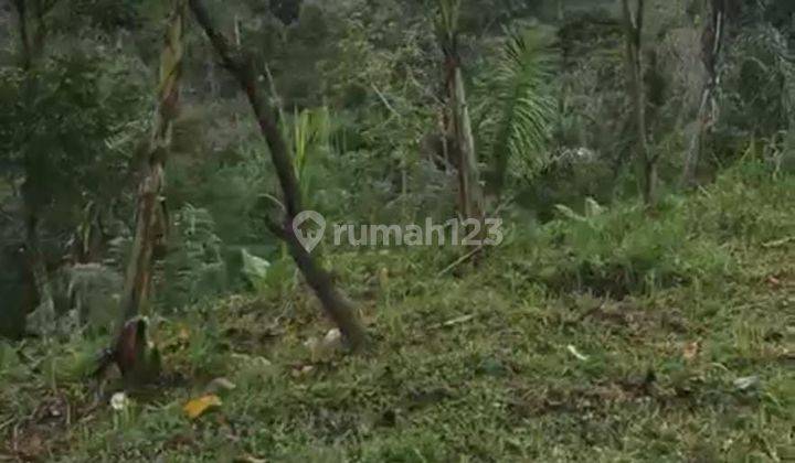 Dijual Cepat 1 Unit Rumah Dalam Komplek Area Bongan Tabanan Bali 2