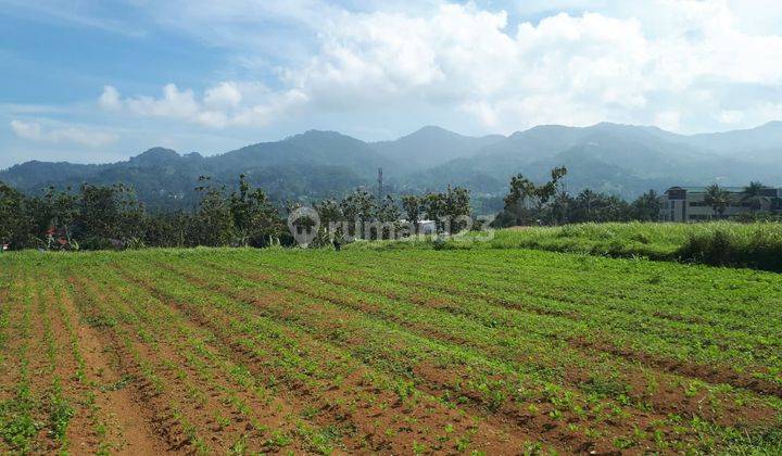 Cepat Tanah Cocok Utk Hotel, Resto, Perumahan di Cisarua 1