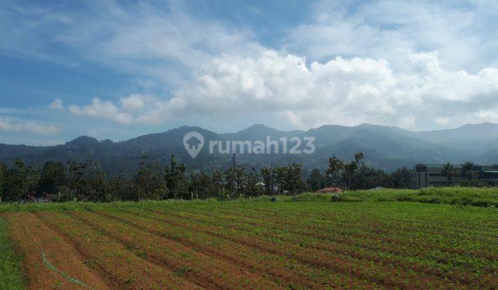 Cepat Tanah Cocok Utk Hotel, Resto, Perumahan di Cisarua 2