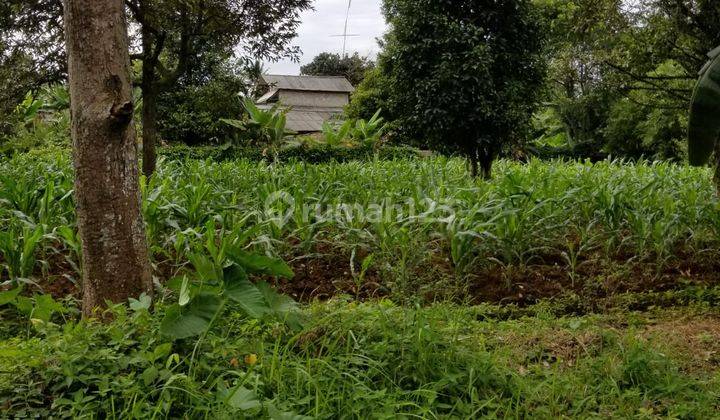 Dijual Tanah luas cocok buat buka villa dan lain lain 3