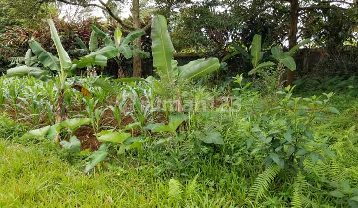 Dijual Tanah luas cocok buat buka villa dan lain lain 4