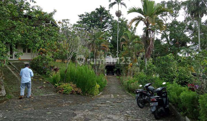 Dijual villa luas enak nyaman/ rumah bagus 2