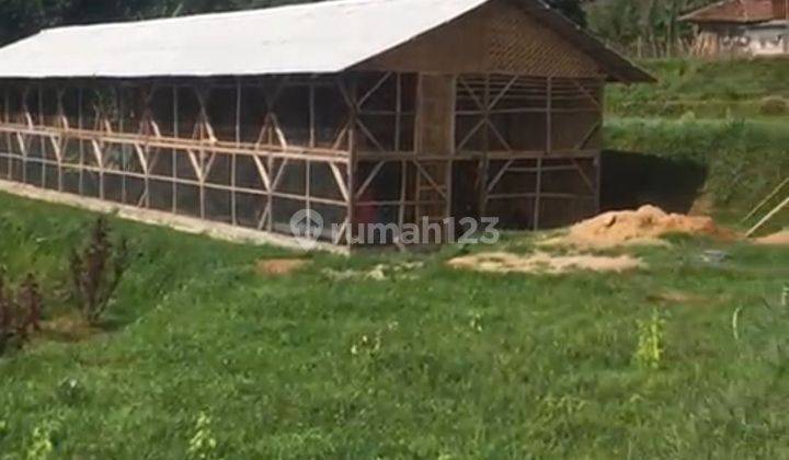 Dijual Tanah Komersial Untuk Beternak Maupun Buat Villa 1