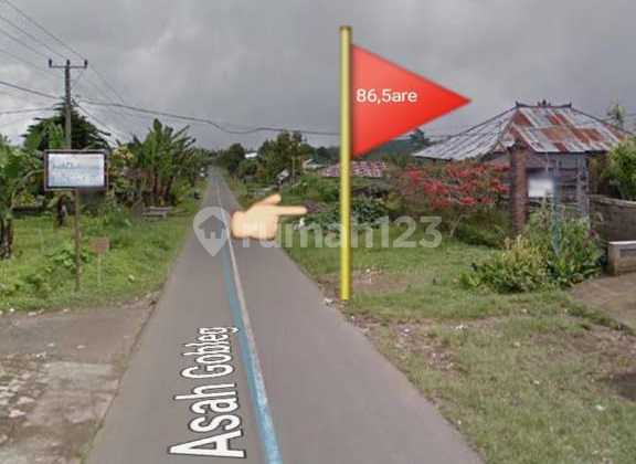 Dijual tanah di daerah buleleng bali di Asah bobleg banjar buleleng bali  1