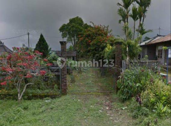 Dijual tanah di daerah buleleng bali di Asah bobleg banjar buleleng bali  2