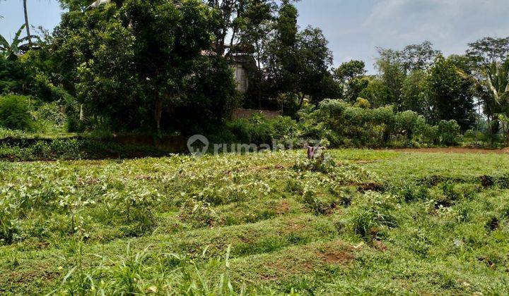 Dijual Tanah Di Ds Pancawati  Ada Aliran Irigasi Sungai Kecil 1