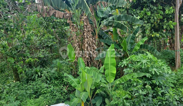 ******** Di Belakang ******** SHM