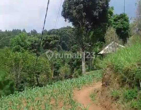 Dijual.tanah Di Ds.pancawati Caringin Lokasi Pinggir Jalan SHM - Sertifikat Hak Milik 1