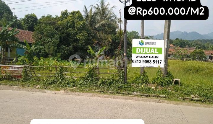 Land Sale by Jasinga - Bogor Main Road