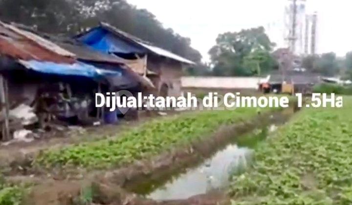 For Sale 1.5ha Land in Cimone Tgr For Sale 1.5ha Land in Cimone Tgr