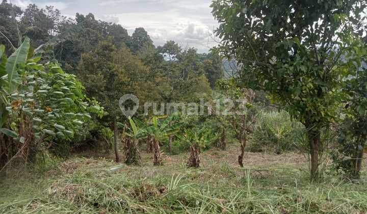 Jual Murah Tanah Jonggol Utara, Strategis di Pinggir Jalan 1
