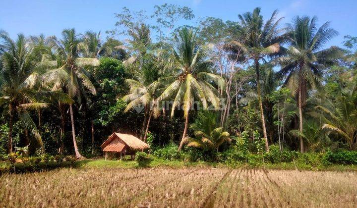 Tanah Strategis Murah di Cijulang Pangandaran 1