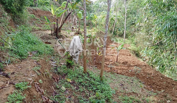 Tanah Daerah Bojongsari Purwakarta Jawa Barat