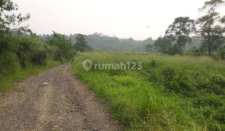 Tanah zona kuning wilayah Ranca Bungur Bogor 1