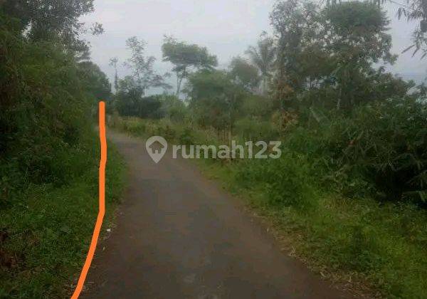 Tanah sangat murah luas 9800 m2 view bagus nuansa pegunungan Sukaluyu nanggung bogor 3